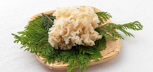 白きくらげ