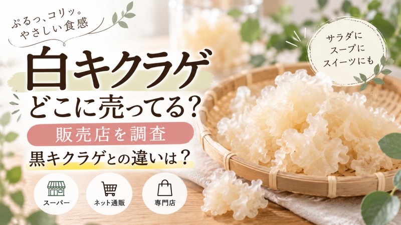 白きくらげはどこに売ってる？実際に販売店を調査！黒きくらげとの違いは？